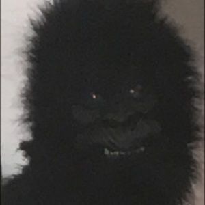 Meet your Posher, Marco